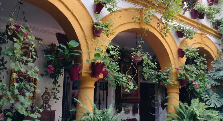 Free Tour Patios of Cordoba Spain &mdash; #3