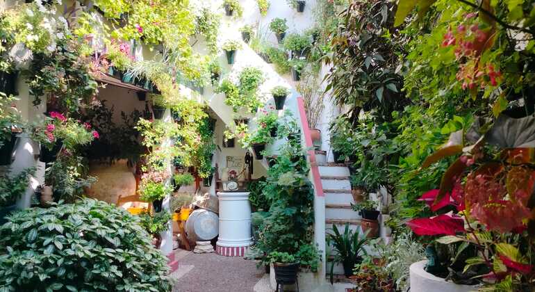Free Tour Patios of Cordoba Spain &mdash; #4