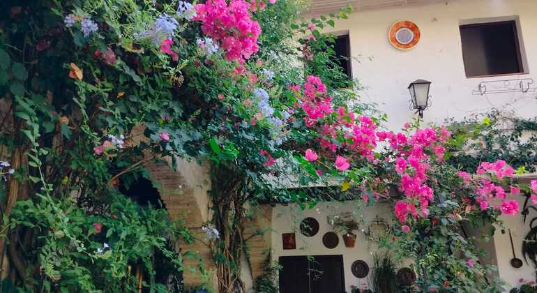 Free Tour Patios of Cordoba Spain &mdash; #5