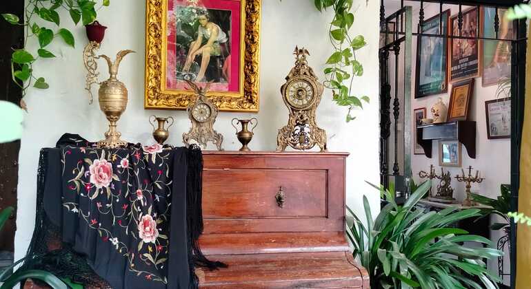 Free Tour Patios of Cordoba Spain &mdash; #6