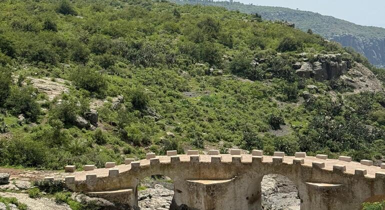 Excursão de um dia em Debrelibanos e Adadi Maryam