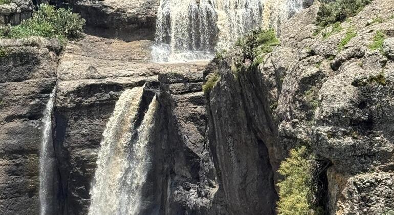 Excursão de um dia em Debrelibanos e Adadi Maryam Etiópia — #4