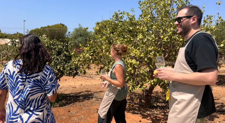Aula particular de culinária siciliana em Marsala Itália — #6