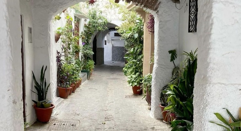 Private Excursion to Tetouan UNESCO World Heritage Site Morocco &mdash; #15