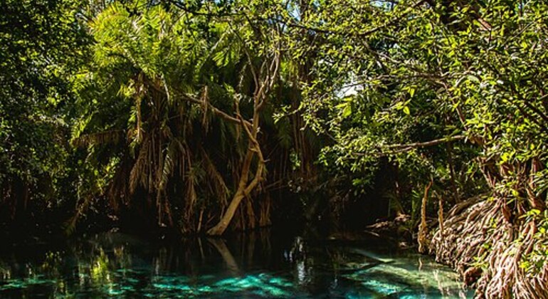 Excursión de dos días a las cataratas de Materuni y a las aguas termales de Chemka Operado por Mohamed