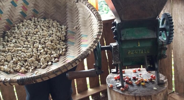 Excursión de dos días a las cataratas de Materuni y a las aguas termales de Chemka Tanzania &mdash; #2