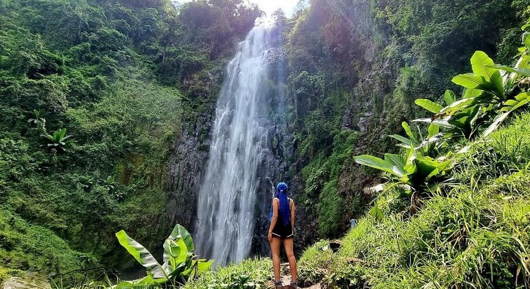 Excursión de dos días a las cataratas de Materuni y a las aguas termales de Chemka Tanzania &mdash; #3
