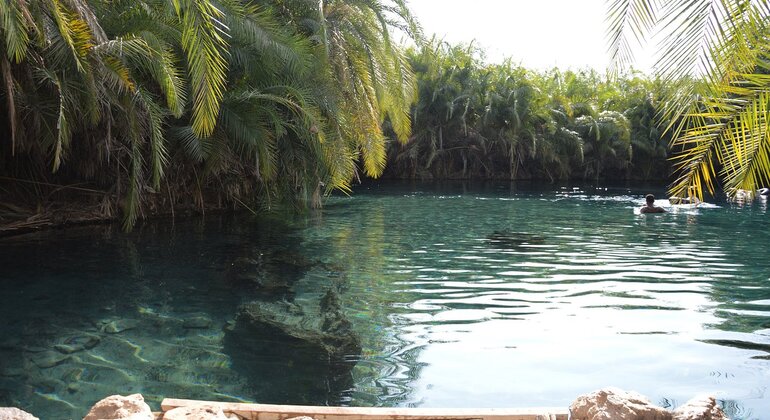 Excursión de dos días a las cataratas de Materuni y a las aguas termales de Chemka Tanzania &mdash; #5