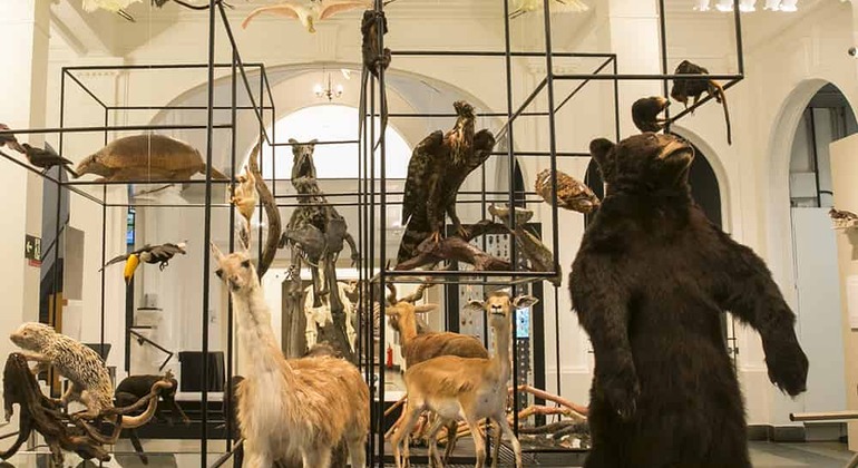 Independence District Tour of Sao Paulo: Where Brazil Was Born Brazil — #6