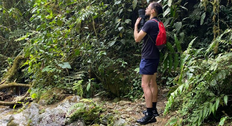 Caminhada à Lagoa Encantada - Aventura Selvagem em Medellín Colômbia — #4