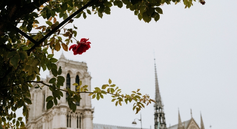 L'originale tour gratuito di Parigi Francia &mdash; #6