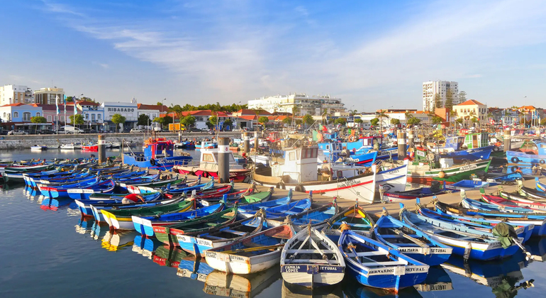 Private Tour durch Lissabon: Arrábida, Setúbal & Besuch der Fliesenfabrik Portugal — #6