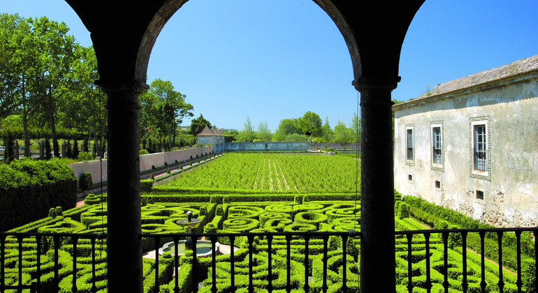 Private Tour durch Lissabon: Arrábida, Setúbal & Besuch der Fliesenfabrik Portugal — #7