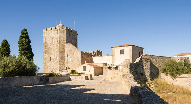 Private Tour durch Lissabon: Arrábida, Setúbal & Besuch der Fliesenfabrik Portugal — #12