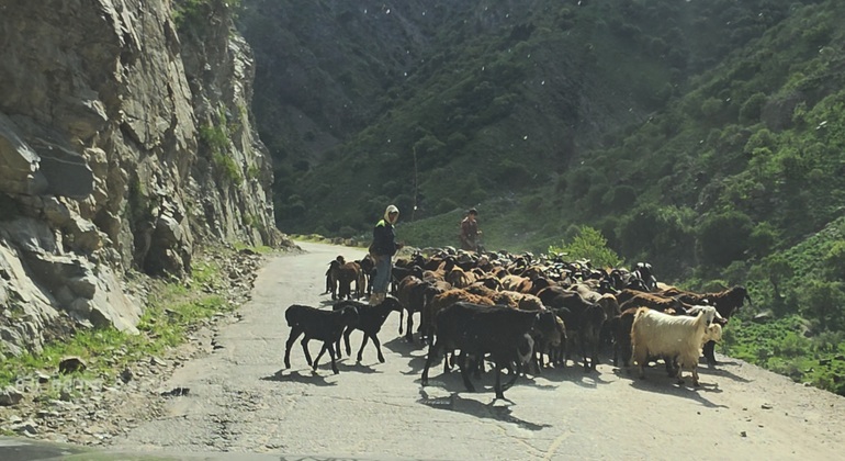 Explorar el Valle de Romit desde Dushanbe: Excursión en todoterreno por la naturaleza Tayikistán &mdash; #6
