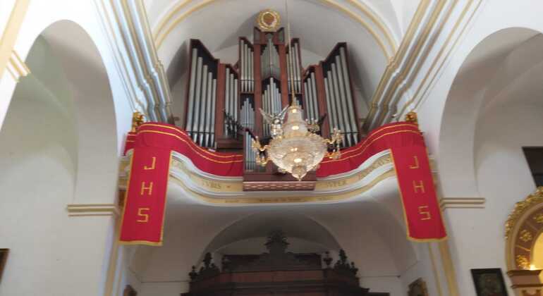 descubre-los-secretos-de-marbella-una-ciudad-milenaria-en-18