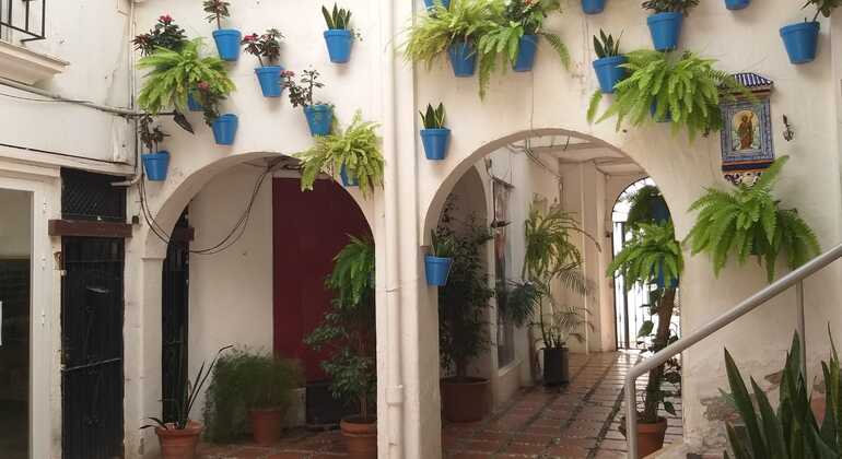 descubre-los-secretos-de-marbella-una-ciudad-milenaria-es-20