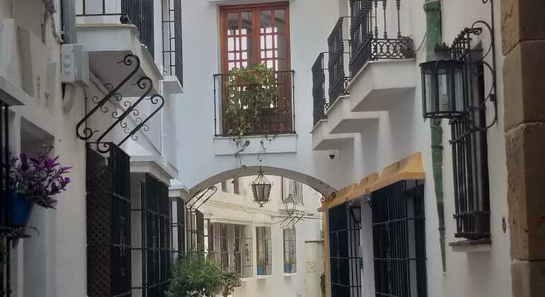 descubre-los-secretos-de-marbella-una-ciudad-milenaria-es-23