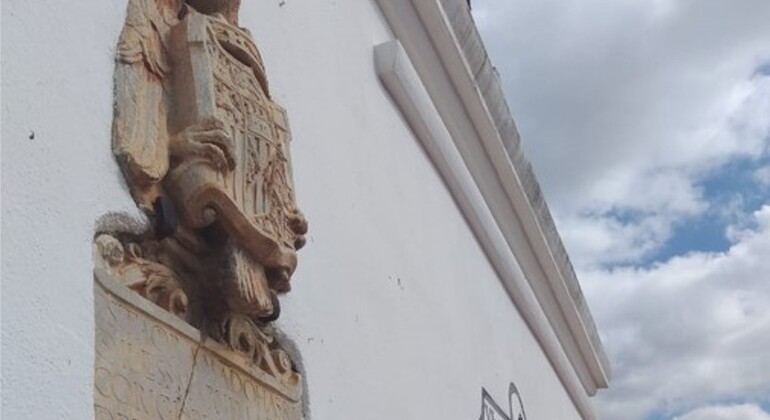 descubre-los-secretos-de-marbella-una-ciudad-milenaria-en-26
