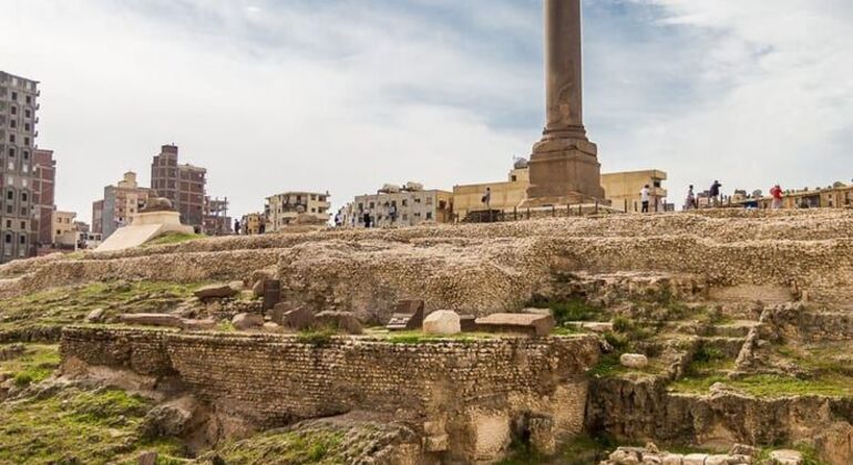 Explore Alexandria in a Day Egypt — #3