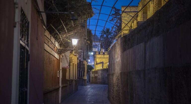 Free Tour Sevilla de Noche: 100% Intrigas y Leyendas España — #7