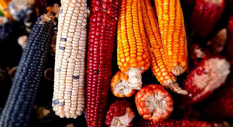 Free Tour of Antigua: Markets and Chicken Bus Guatemala — #14