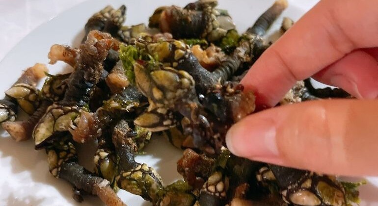 Porto Bites & Banter in Bolhão Market Free Tour Portugal — #16