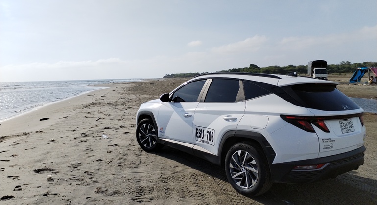 Transfer from Rafael de Núñez Airport to Bocagrande and More Provided by HAYTANA AVES DE COLOMBIA