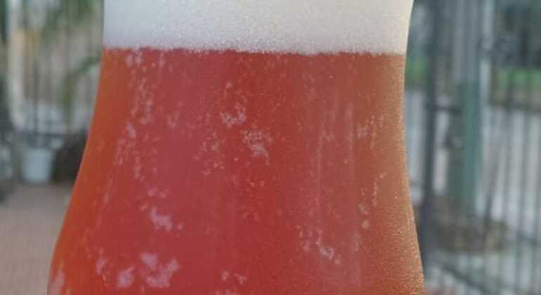 Immersive Cartagena Tour: The Soul of the City Colombia &mdash; #5