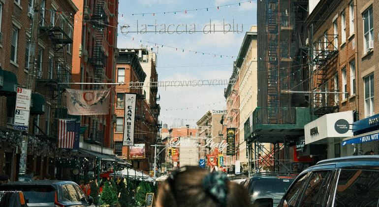 Flavors of Chinatown & Little Italy Food Tour USA — #5