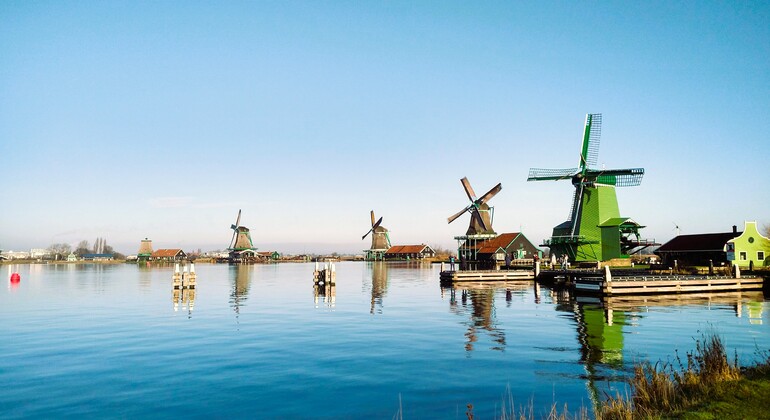 Excursão privada: Moinhos de vento, Edam, Volendam e Marken Países Baixos — #3