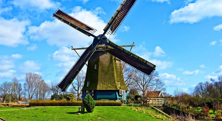 Excursão privada: Moinhos de vento, Edam, Volendam e Marken Países Baixos — #7