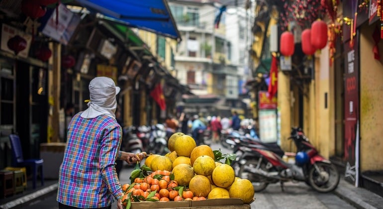 Flavors of Hanoi: From Street Bites to Soul Food