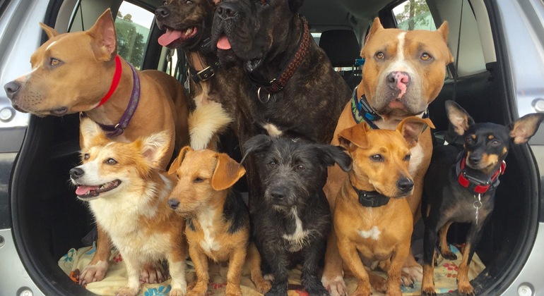 Tour da Irlanda com um motorista privado Irlanda &mdash; #2