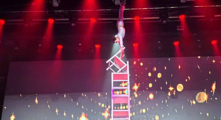 Peking: Qinlegong-Akrobatik-Show mit regulärem Sitzplatz (blaue Sitze) China — #2
