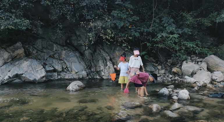 Lokales Leben in Xi'an: Naturspaziergang & Bauernhof-Festival Bereitgestellt von Juliette