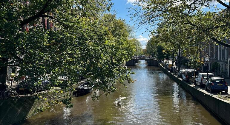 discover-amsterdam-the-world-in-one-city-es-2