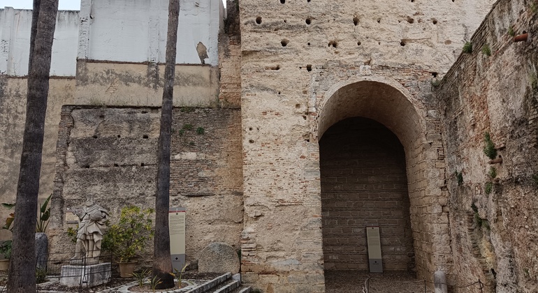visita-al-alcazar-de-jerez-la-catedral-en-2