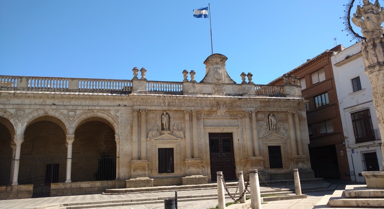 visita-al-alcazar-de-jerez-la-catedral-en-6