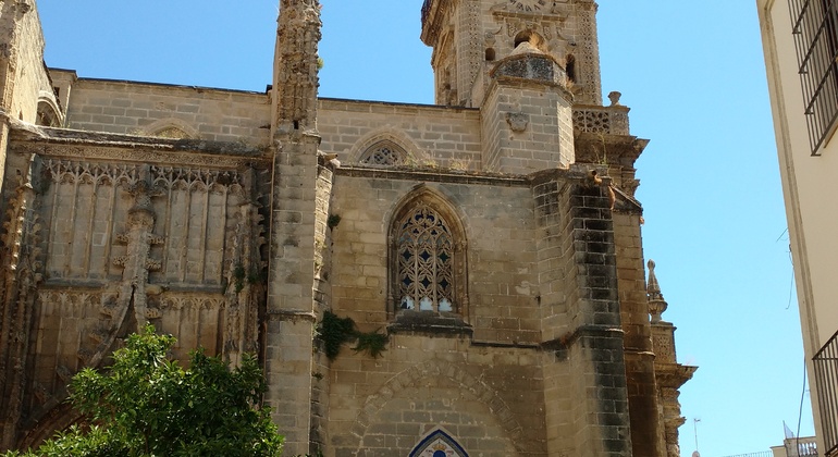 visita-al-alcazar-de-jerez-la-catedral-en-9
