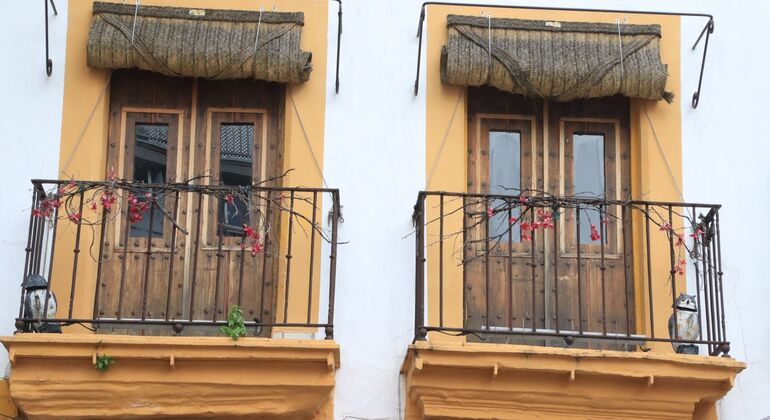 visita-al-alcazar-de-jerez-la-catedral-es-11