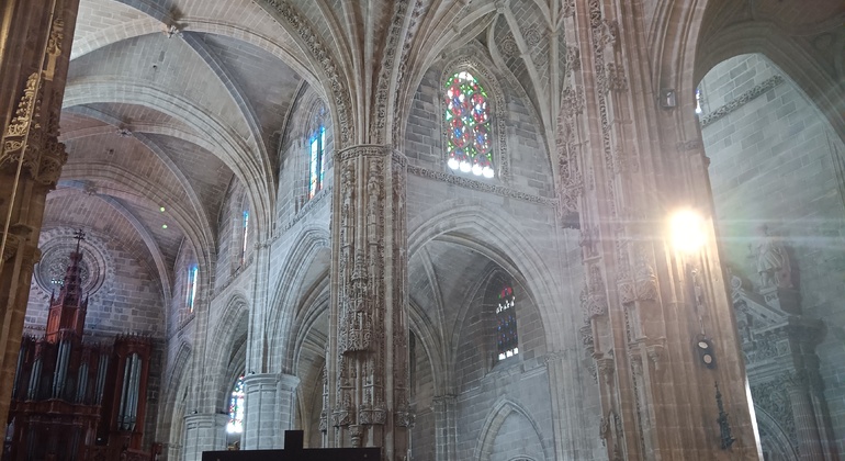 visita-a-la-catedral-de-jerez-en-6