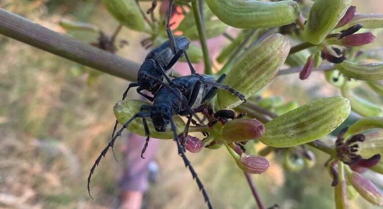 Voyage dans le village de montagne d'Urgut Ouzbékistan — #2
