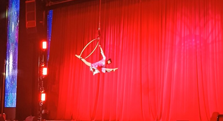 Pechino: Spettacolo acrobatico Qinlegong Posto VIP Cina &mdash; #3