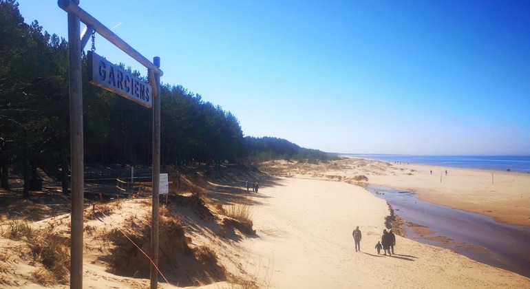 Viaje por Carretera en Busca de Naturaleza y Vida Salvaje Letonia — #5