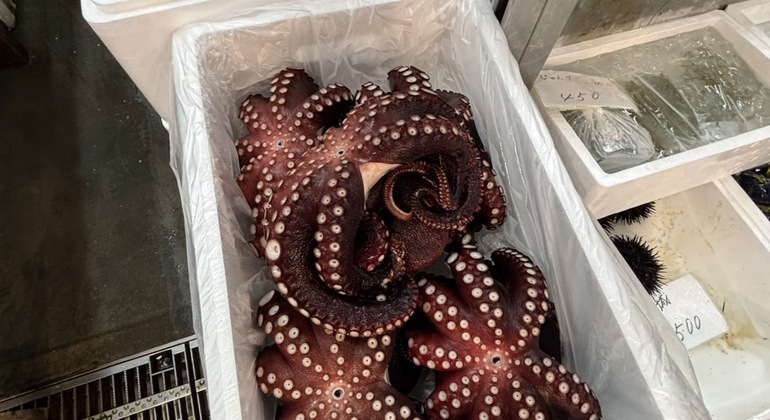 Tokio Toyosu Fischmarkt Tour: Erkundung des Sperrgebiets mit einem Koch Japan — #5