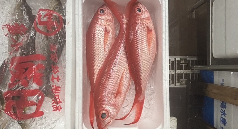 Tokio Toyosu Fischmarkt Tour: Erkundung des Sperrgebiets mit einem Koch Japan — #7