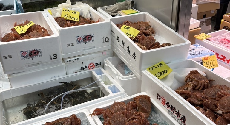 Tokio Toyosu Fischmarkt Tour: Erkundung des Sperrgebiets mit einem Koch Japan — #8