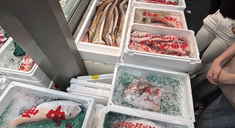 Tokio Toyosu Fischmarkt Tour: Erkundung des Sperrgebiets mit einem Koch Japan — #11