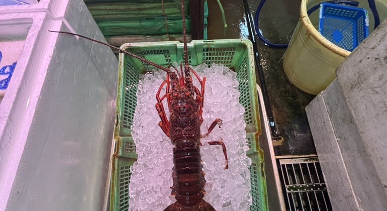 Tokio Toyosu Fischmarkt Tour: Erkundung des Sperrgebiets mit einem Koch Japan — #12
